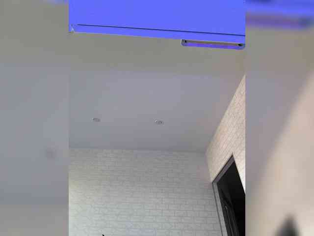 ROSALIA webcam