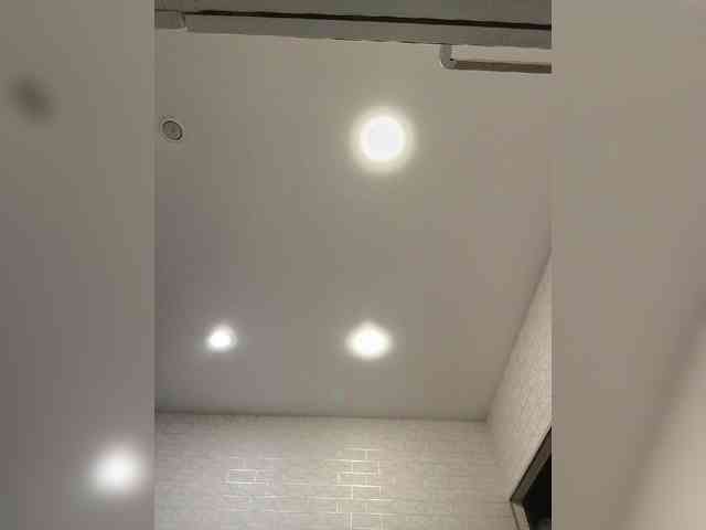 ROSALIA webcam