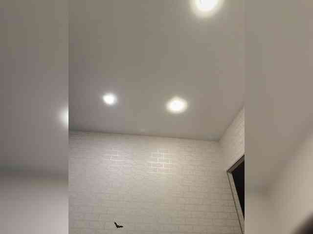 GORIGLAZ webcam