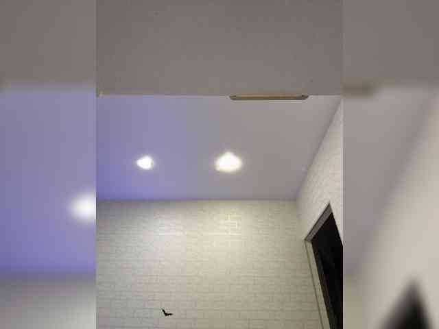 ROSALIA webcam