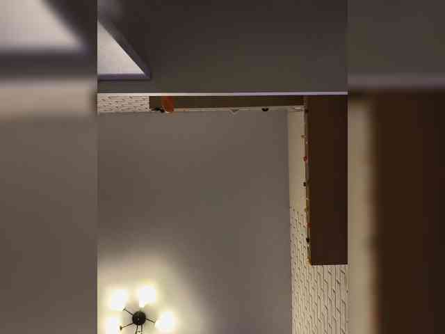 ROSALIA webcam