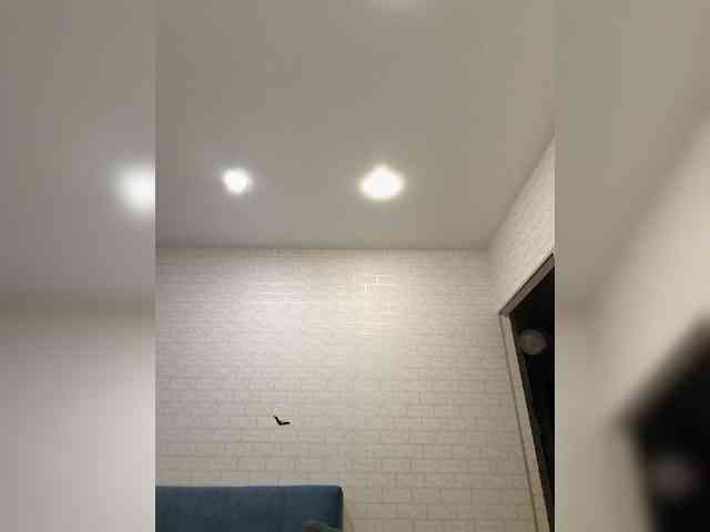ROSALIA webcam