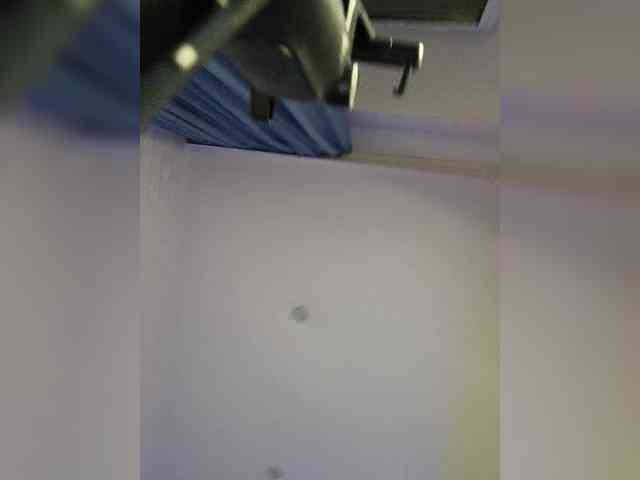 ROSALIA webcam