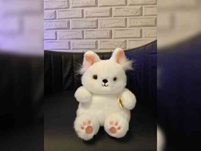 ROSALIA webcam