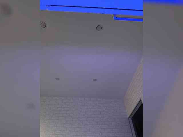 ROSALIA webcam