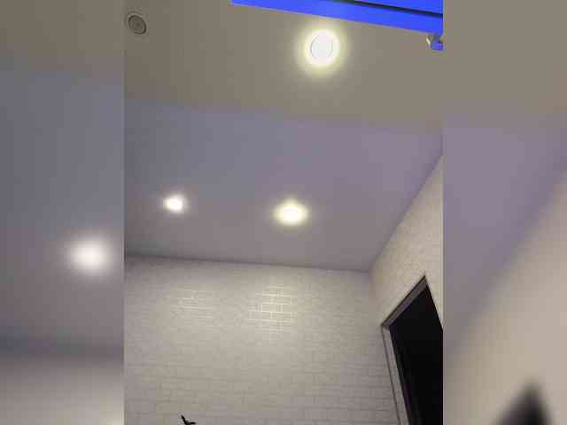 ROSALIA webcam
