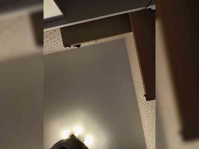 GORIGLAZ webcam