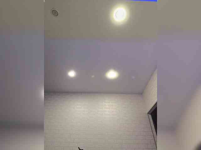 ROSALIA webcam
