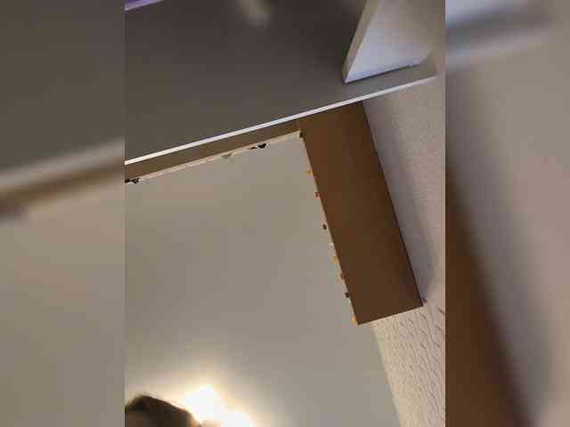 ROSALIA webcam