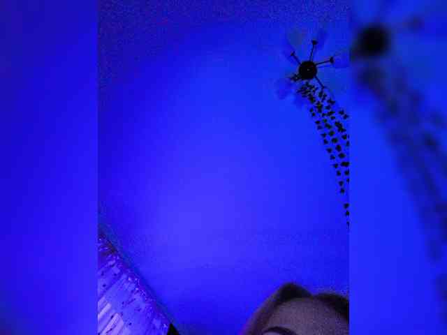 ROSALIA webcam