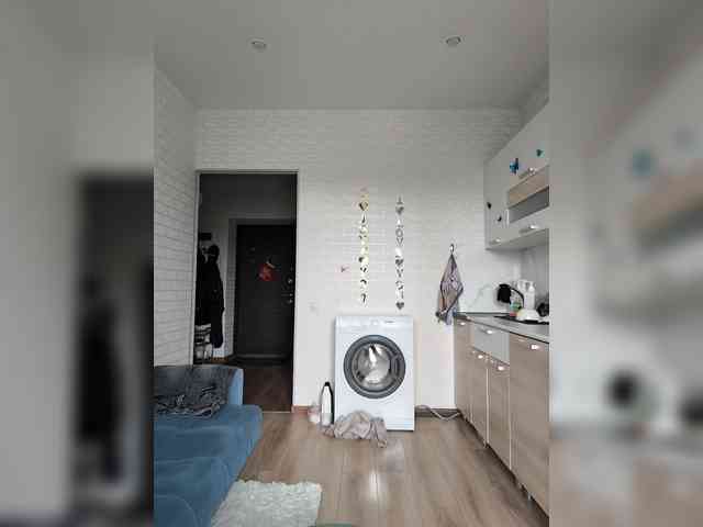 ROSALIA webcam