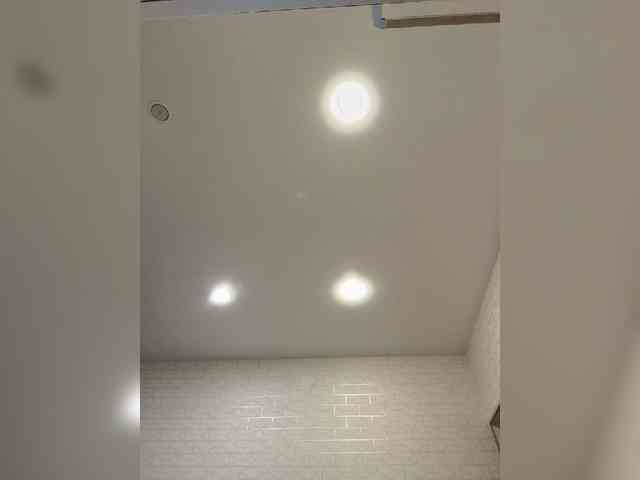 ROSALIA webcam