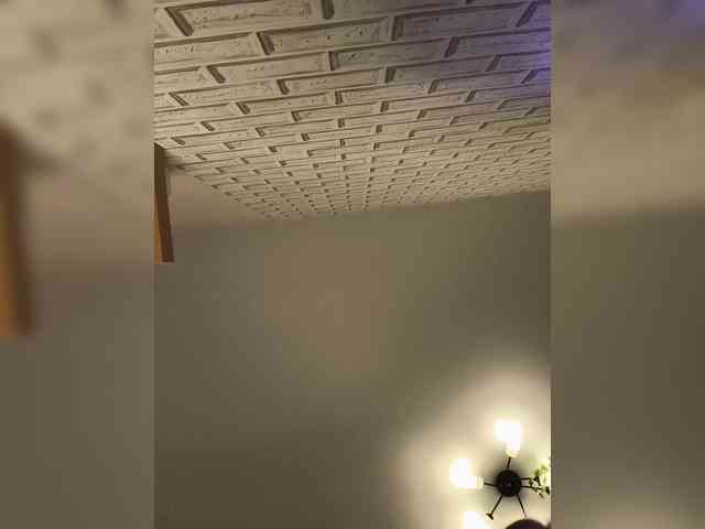 ROSALIA webcam