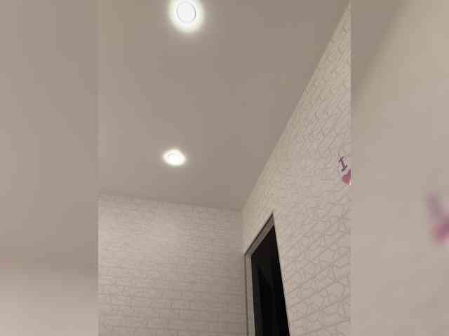 ROSALIA webcam