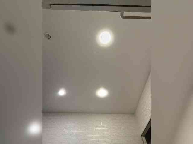 ROSALIA webcam