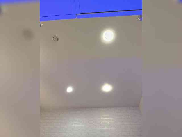 ROSALIA webcam