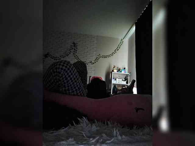 ROSALIA webcam