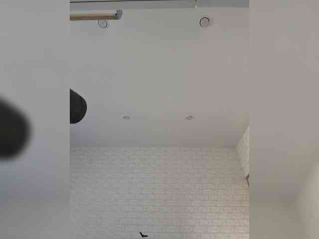 GORIGLAZ webcam