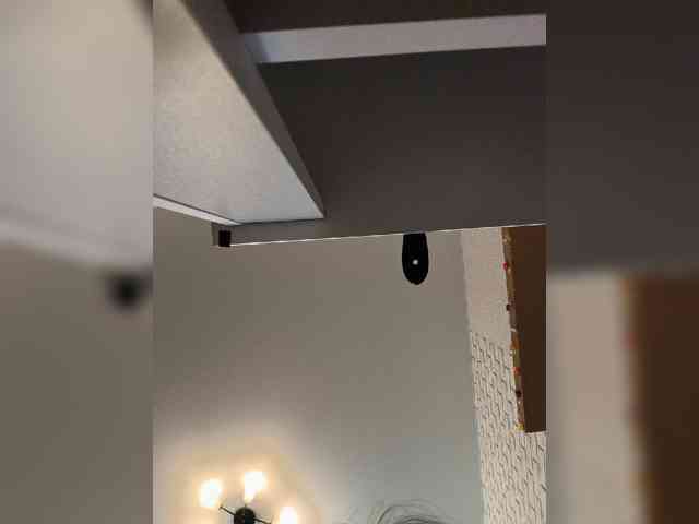 ROSALIA webcam