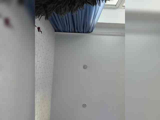 ROSALIA webcam