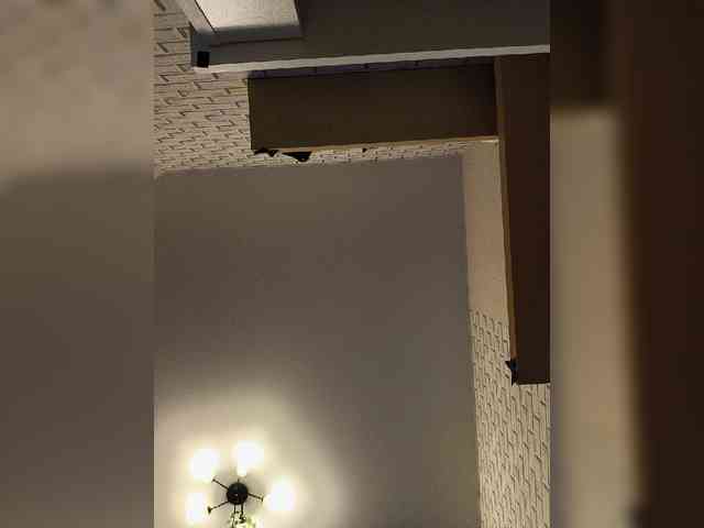 GORIGLAZ webcam