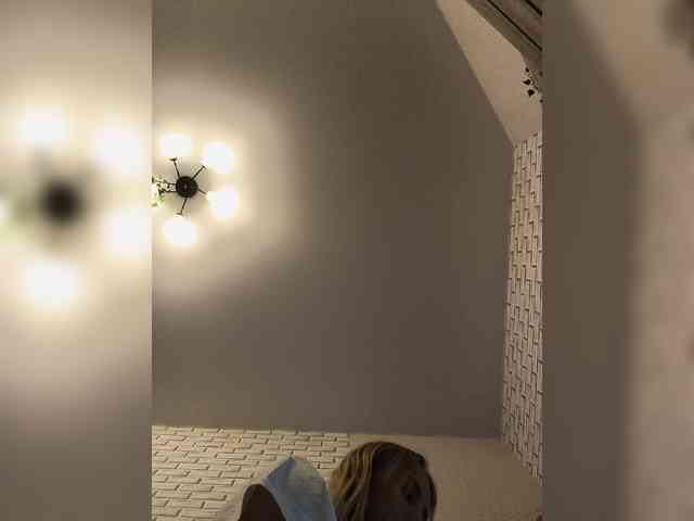 GORIGLAZ webcam