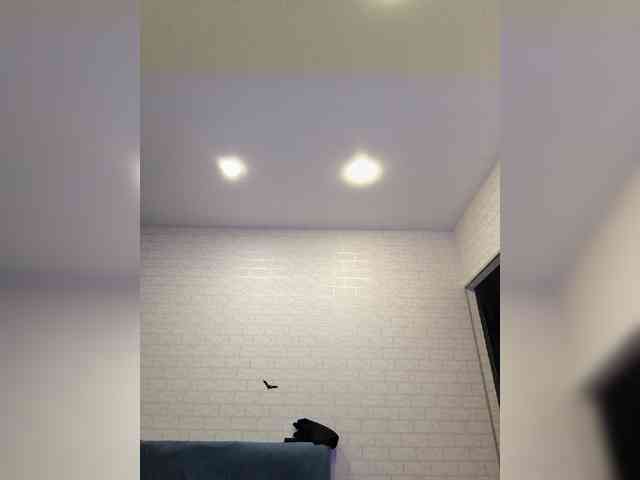 ROSALIA webcam