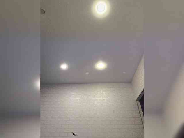 ROSALIA webcam