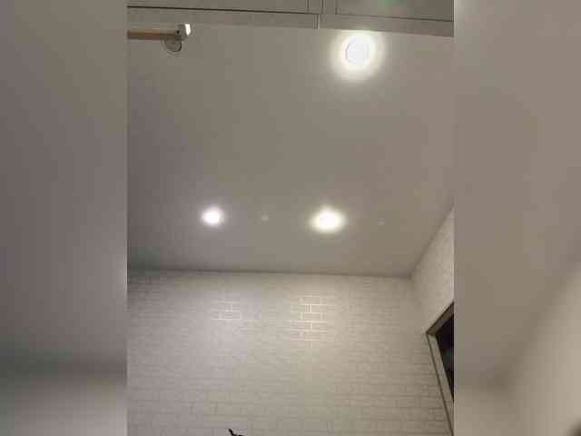 ROSALIA webcam