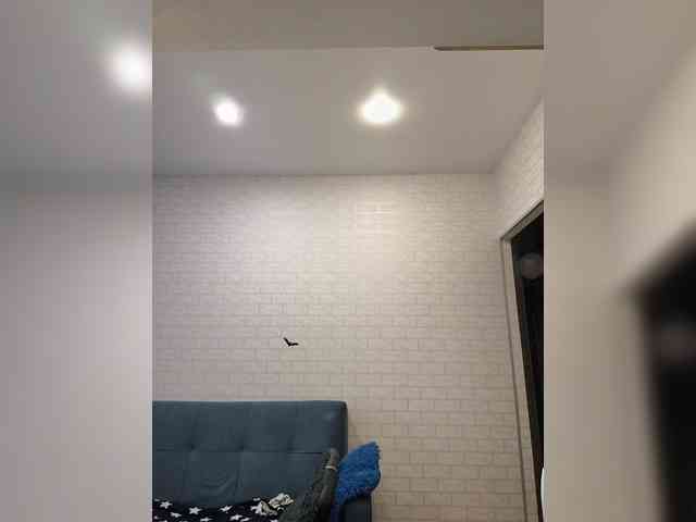ROSALIA webcam