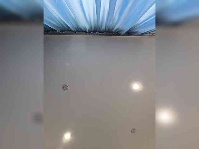 ROSALIA webcam