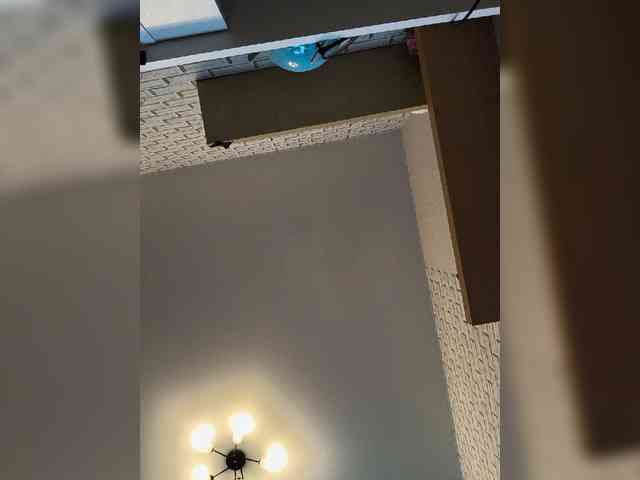 ROSALIA webcam