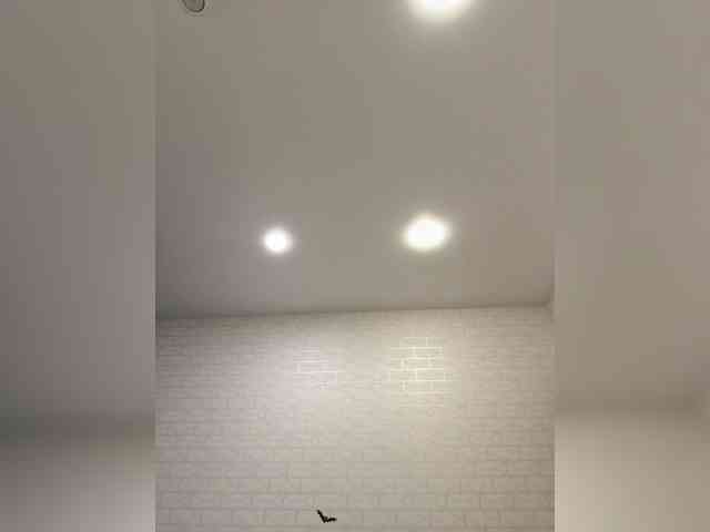 GORIGLAZ webcam
