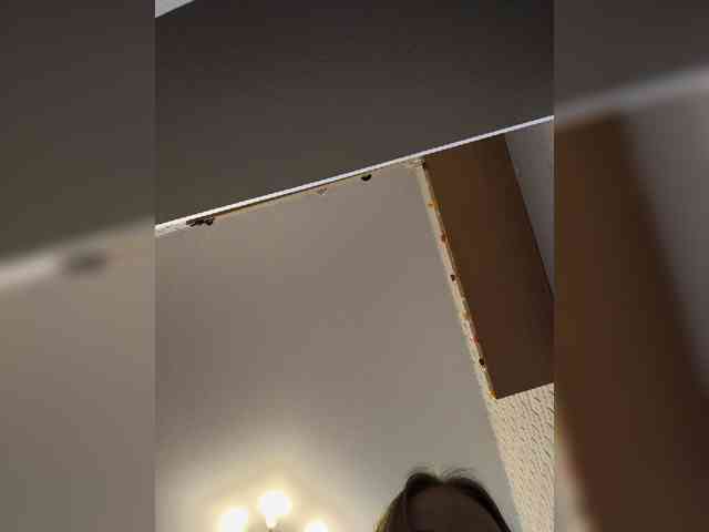 ROSALIA webcam