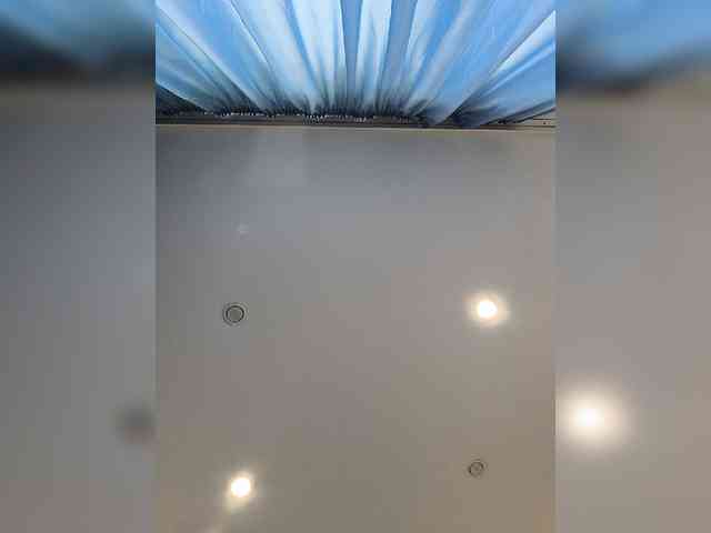 ROSALIA webcam