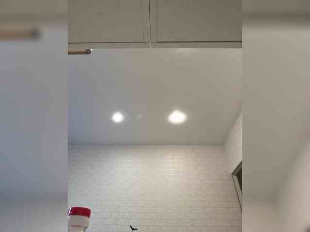GORIGLAZ webcam