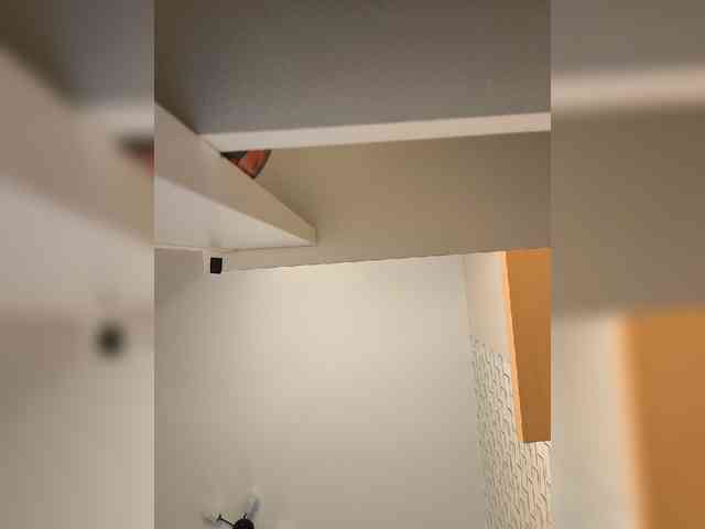 ROSALIA webcam