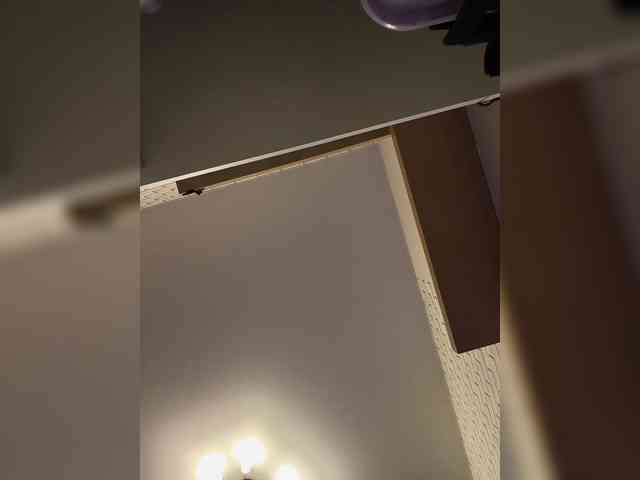 ROSALIA webcam