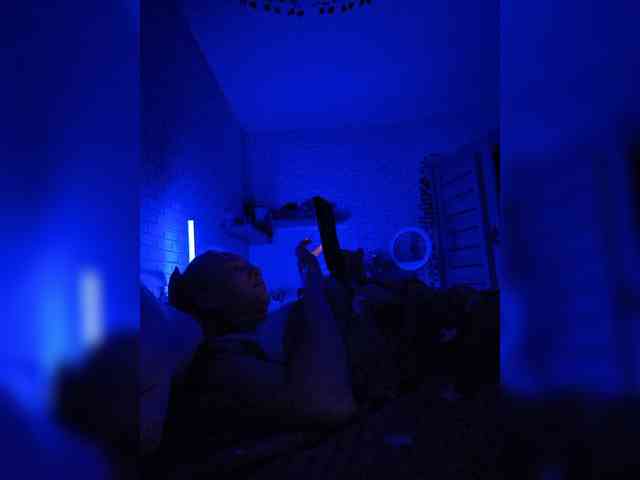 ROSALIA webcam