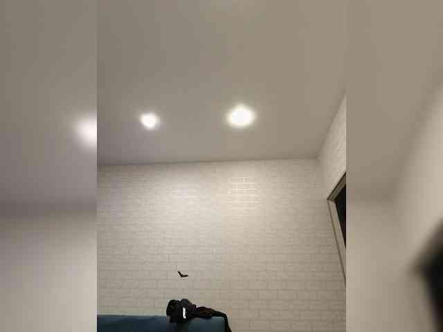 ROSALIA webcam