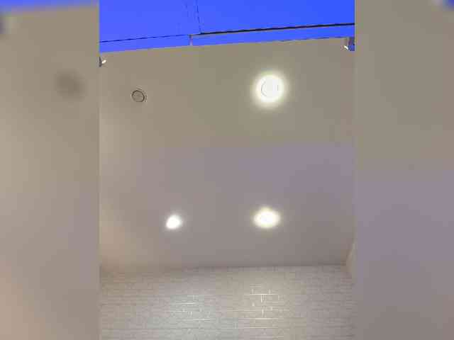 ROSALIA webcam