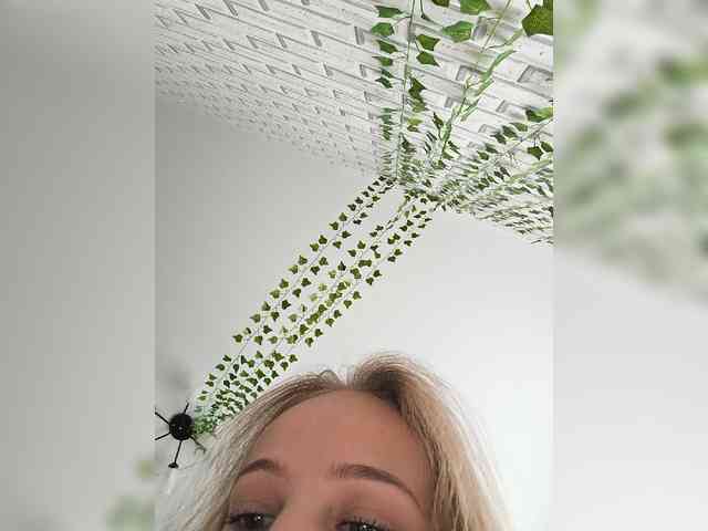 ROSALIA webcam