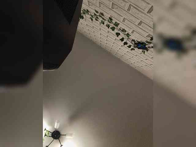 ROSALIA webcam