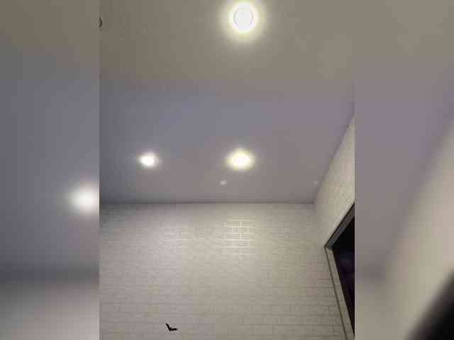 ROSALIA webcam