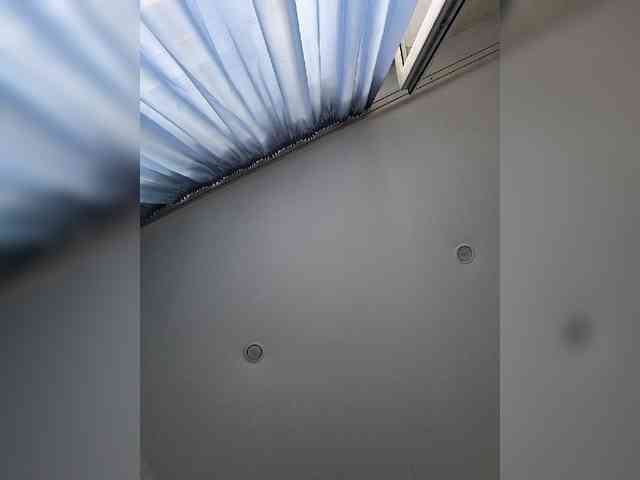 ROSALIA webcam