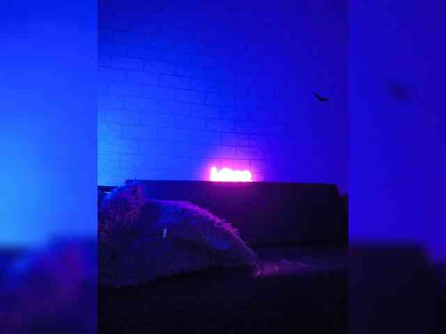 ROSALIA webcam