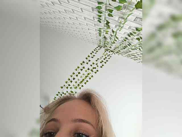 ROSALIA webcam