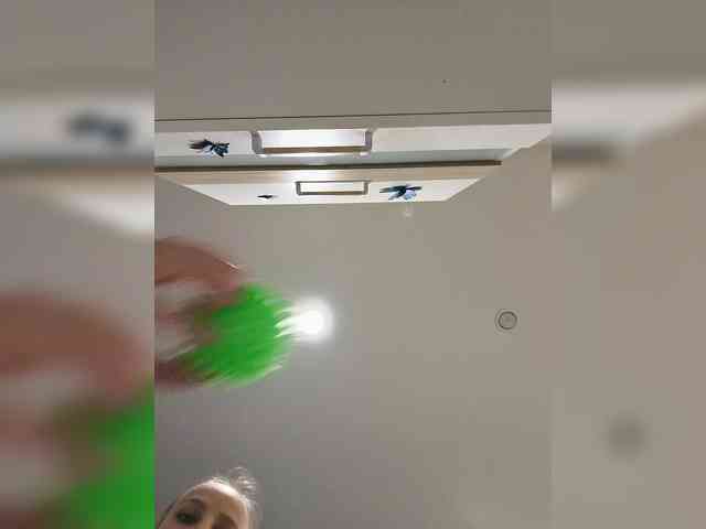 GORIGLAZ webcam