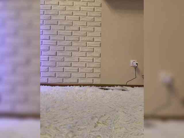GORIGLAZ webcam