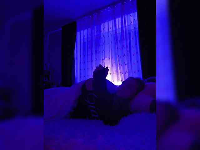 ROSALIA webcam